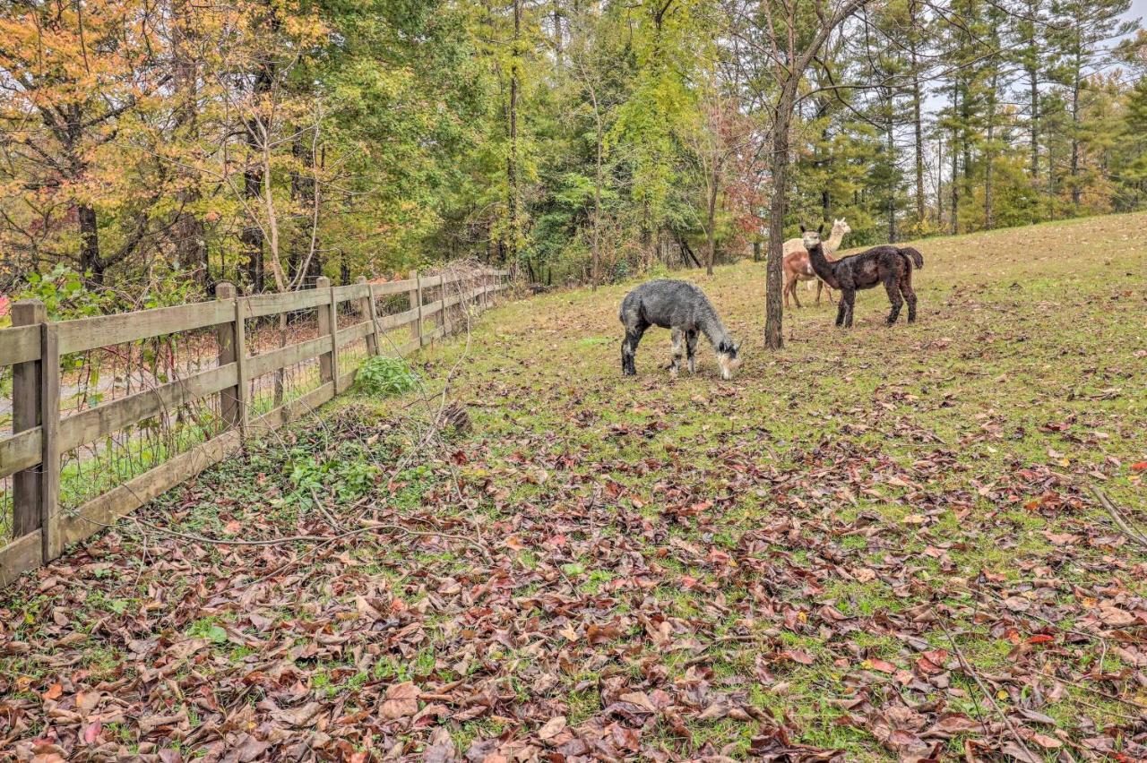 Rustic Hendersonville Farm Studio With Private Deck Екстер'єр фото