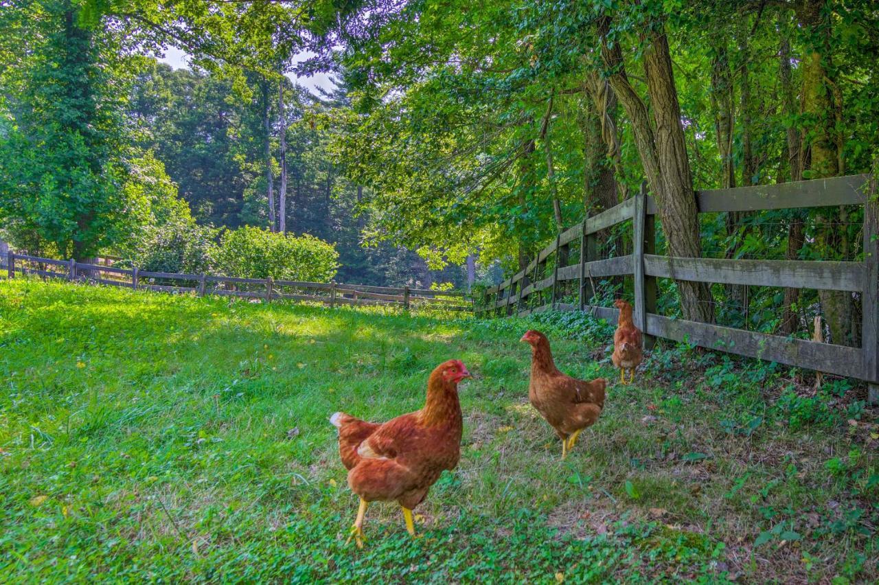 Rustic Hendersonville Farm Studio With Private Deck Екстер'єр фото