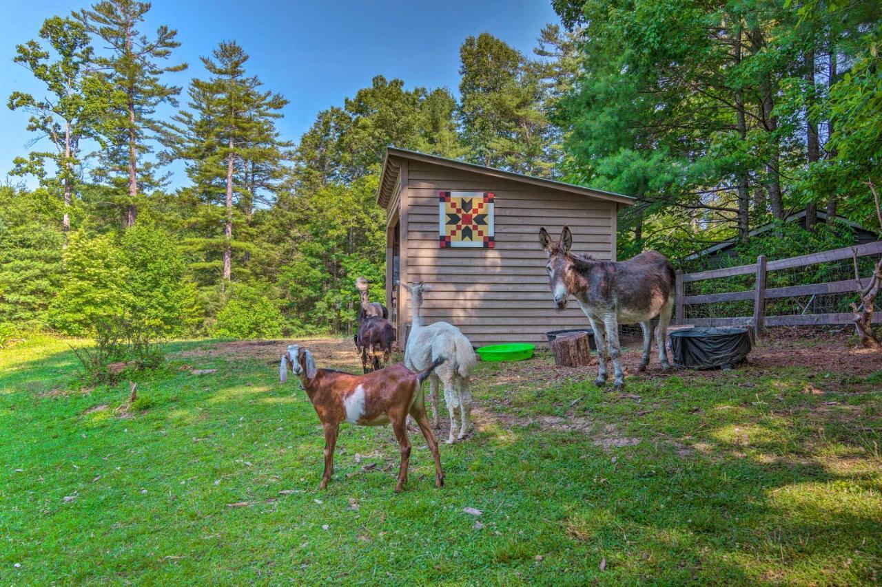 Rustic Hendersonville Farm Studio With Private Deck Екстер'єр фото